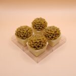 Copinho suculenta de pistache