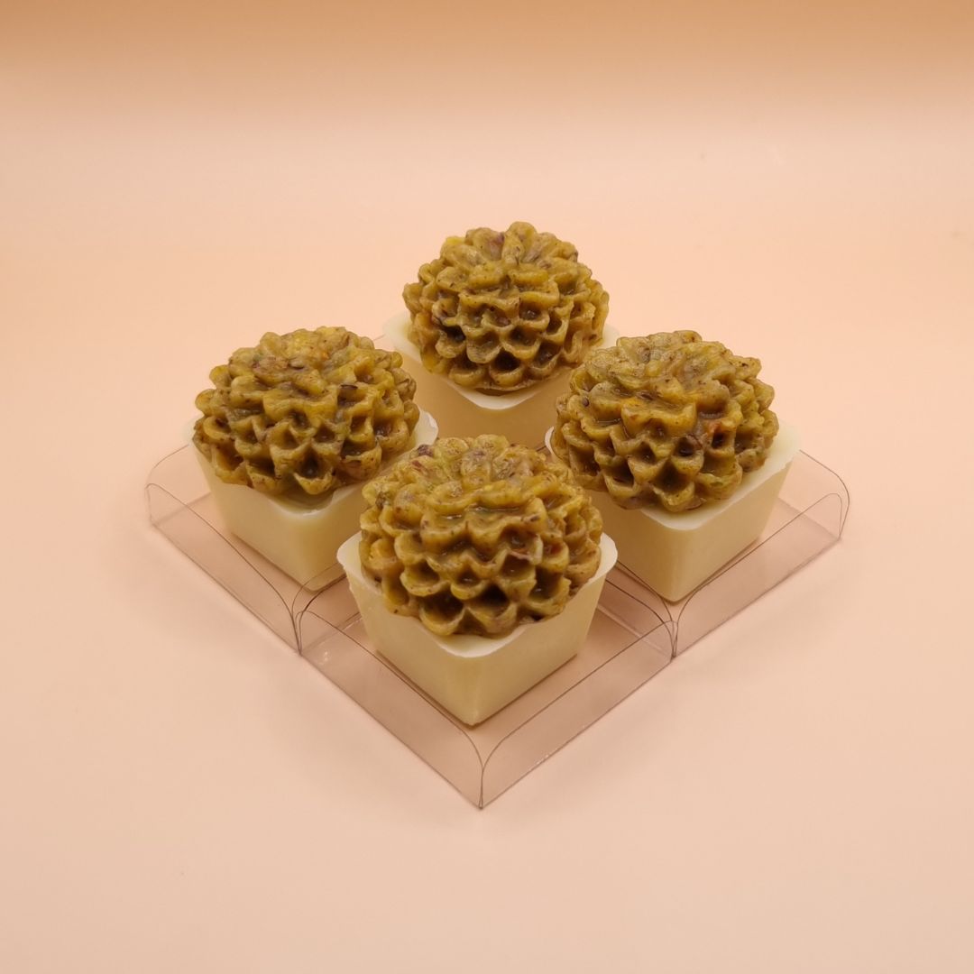 xr:d:DAFdaVt3zxY:8,j:46935226599,t:23051113 Copinho suculenta de pistache - Imagem 1