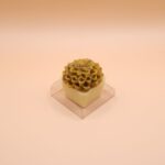 Copinho suculenta de pistache - Imagem 3